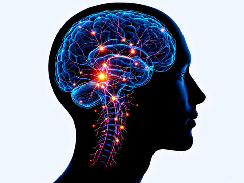 The Power of Neuroplasticity: How Rewiring Your Brain Can Improve Mental Health