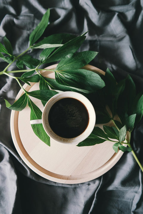 The Perks of Your Morning Brew: Unveiling the Benefits of Coffee