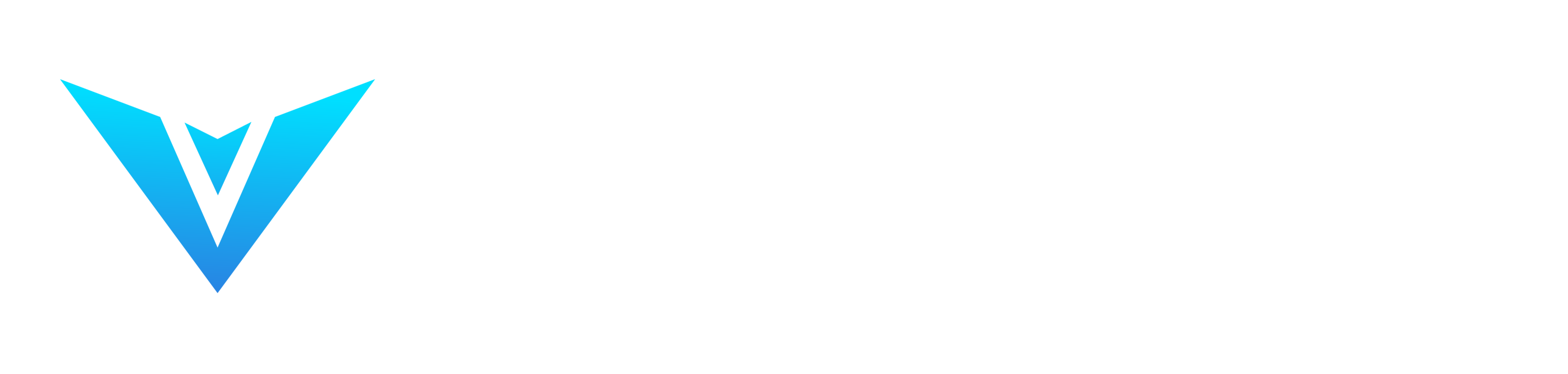 Vital Vibe Health and Fitness